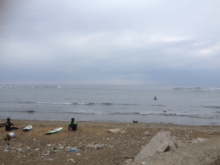 amami-150129 (2).JPG