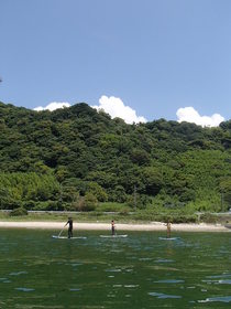 guide000000180260_7[1]