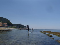 guide000000180260_9[1]