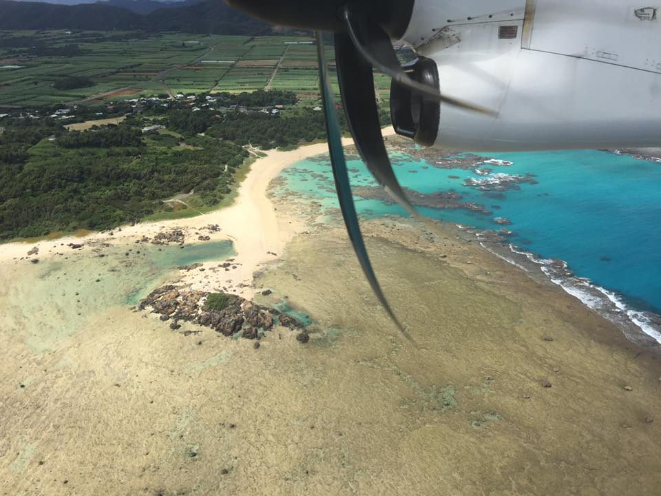 14523166_1049560238497026_4775516941852746408_n